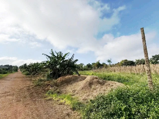 Bán đất 400m² giá 600 triệu Xã Ea Drông