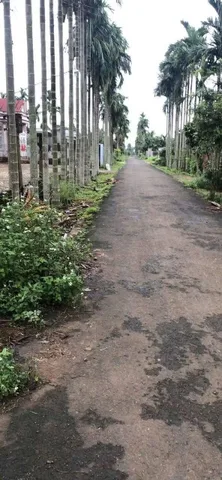 Bán đất 441.5m² ngang 10m giá 2.5 tỷ Phường Tân An
