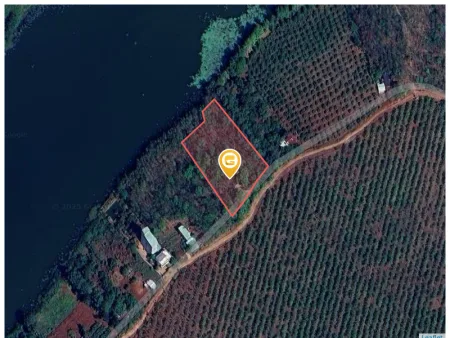 Bán 5 sào đất điều 5499.7m² ngang 76m giá 2 tỷ Xã Long Hà