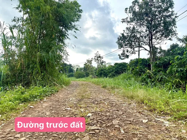 Bán đất 452.8m² giá 500 triệu Xã Phú Xuân