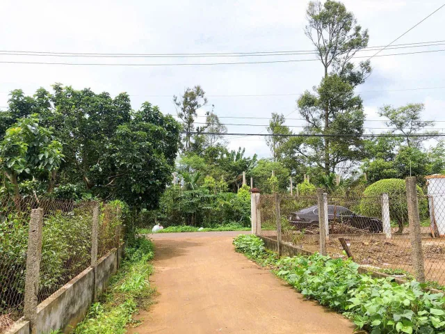 Bán đất 128.4m² ngang 5m giá 1.65 tỷ Phường Tân Lập