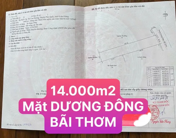 Bán đất 14603m² mặt tiền 50m Dương Đông Bãi Thơm giá 49,6 tỷ Đặc khu Phú Quốc