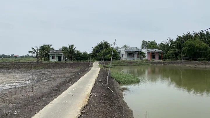 Cần bán đất 1995 m2, giá 3tr/m2 tại đường Gò Me, Xã Hiệp Phước, Nhà Bè.