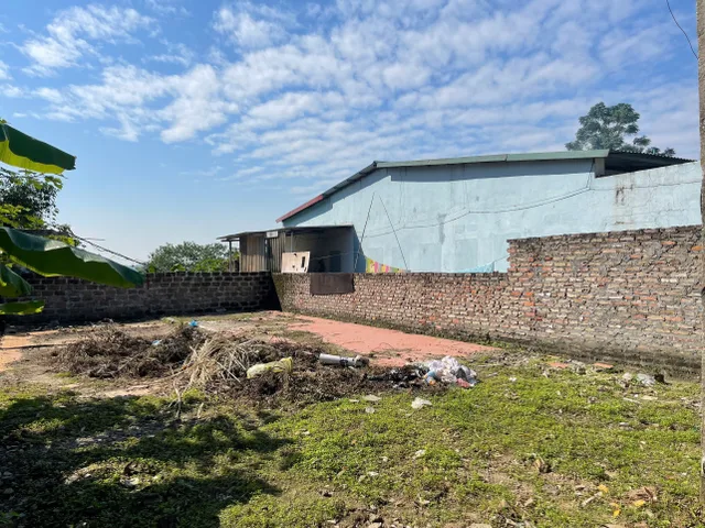 Bán đất 67m² ngang 4m giá 1.75 tỷ Phường Thanh Miếu