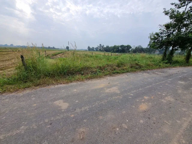 (S787) Đất mặt tiền Nguyễn Thị Náo, xã Trung Lập thượng, dt 191m2 giá 1 tỷ 500