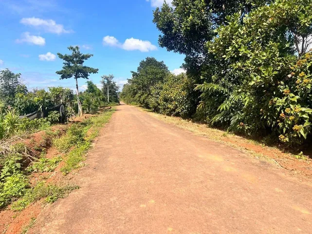 Bán đất 268.8m² giá 845 triệu Phường Buôn Ma Thuột