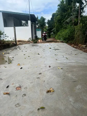 Bán đất 100m² ngang 5m giá 1.35 tỷ Phường Tân An