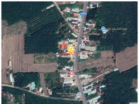 Bán đất 305.6m² Xã An Long
