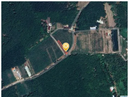 Bán đất 280.6m² Xã An Long