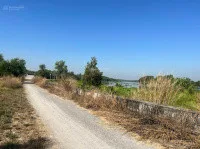 Bán đất 5000m² giá 12.5 tỷ Xã Phú Hòa Đông