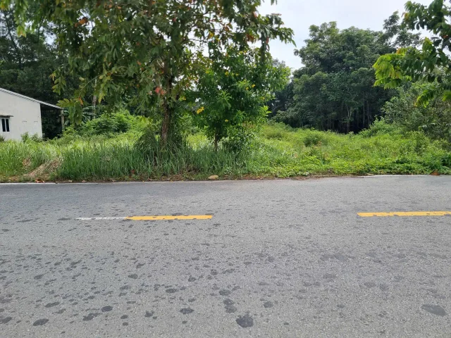 (L778) Đất mặt tiền Đỗ Đăng Tuyển, xã An Nhơn Tây, dt 569m2, giá 4 tỷ