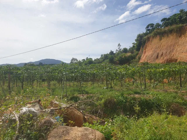 Bán đất vườn view, mặt tiền đường nhựa thôn 10, xã Lộc Nam, huyện Bảo Lâm dt 8.876m2 giá 5,9 tỷ