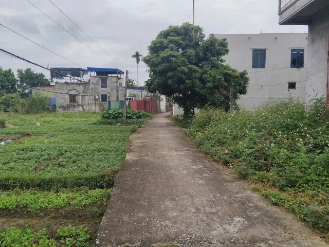 27/11/2025.Bán đất 60m² ngang 4,1m giá 880 triệu Phường Thiên Hương( Lâm Động). liên hệ 0362558882