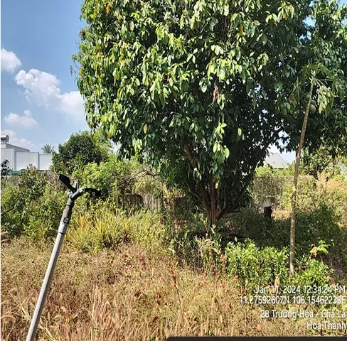 Bán đất 2494.3m² ngang 27.72m giá 5 tỷ Phường Long Hoa
