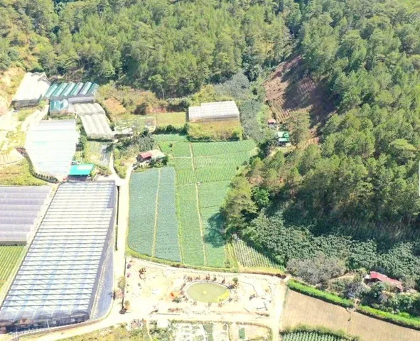 Bán nhà góc 2 mặt tiền view đẹp sát rừng thông gần khu dân cư trung tâm Đà Lạt