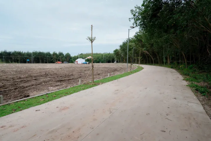 250m2 đất mặt tiền đường nhựa DH 519 huy hoạch 32m gần KCN giá 850tr