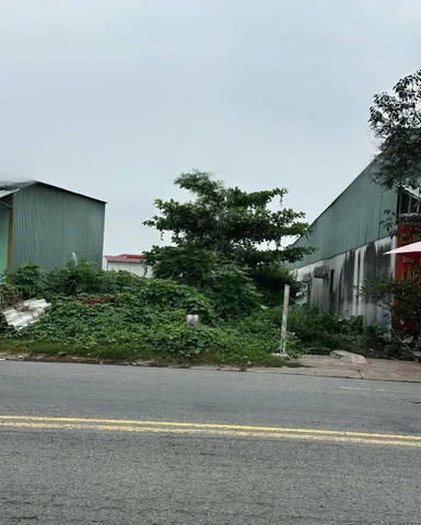 BÁN GẤP LÔ ĐẤT ĐẸP TẠI BẾN LỨC MAI ĐI MỸ