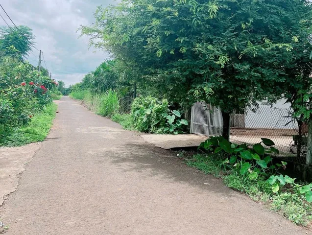 BÁN ĐẤT KDC CAO THẮNG EAKAO 6x47m, 293m2, THỔ CƯ GIÁ BÁN 910 tr
