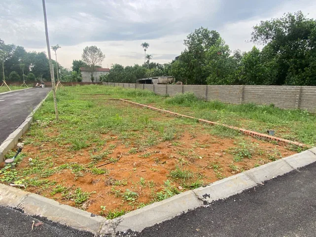 🌳 BÁN LÔ ĐẤT MẶT ĐƯỜNG 446 – VỊ TRÍ SIÊU ĐẸP, GIÁ CHỈ 5 TỶ 🌳