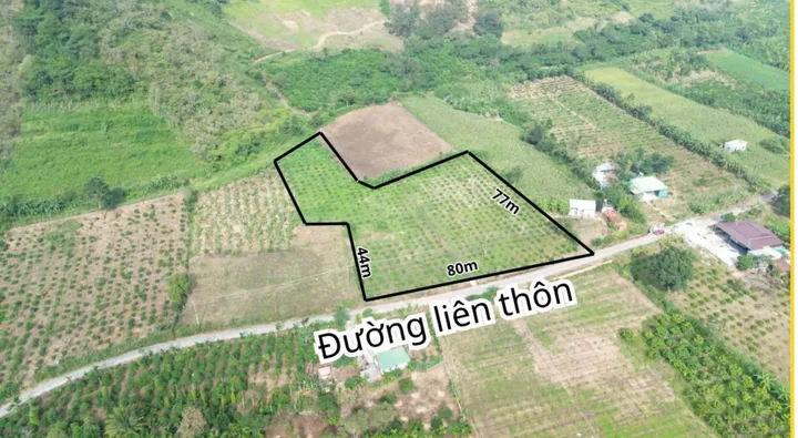 Bán đất 5899.9m² ngang 80m giá 3.99 tỷ Xã Ea Ô