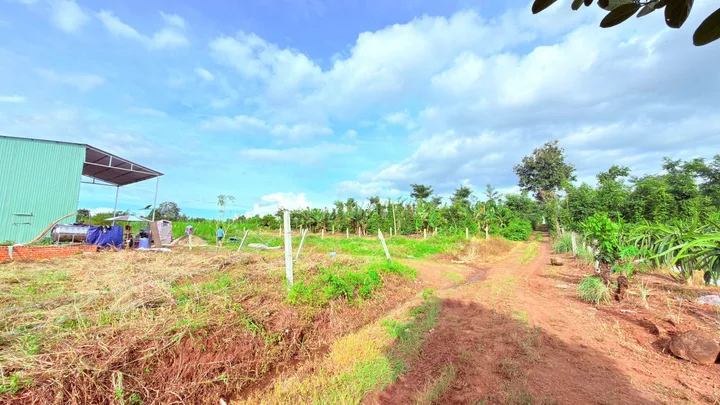 Bán đất 1000m² giá 450 triệu Phường Buôn Ma Thuột