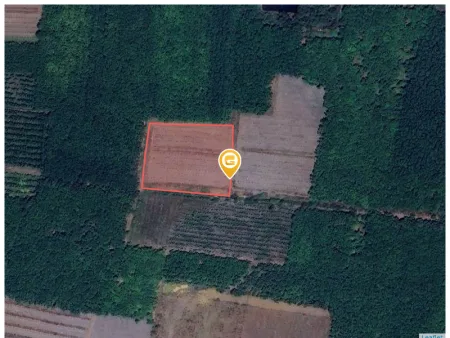 Bán đất 1025m² ngang 15m giá 210 triệu Xã Tân Quan