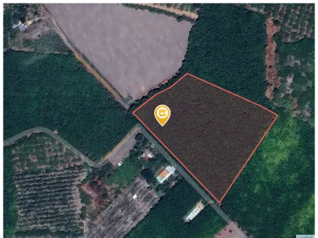 Bán đất 3375m² ngang 75m giá 1.8 tỷ Xã Tân Quan