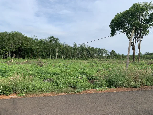 Bán đất 677m2 ngang 10m, giá 1.5 tỷ