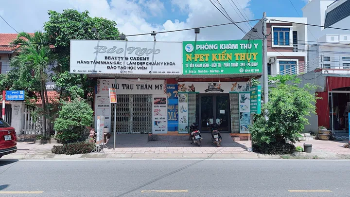 Bán đất 117m² ngang 4.8m giá 4.3 tỷ Xã Kiến Thụy