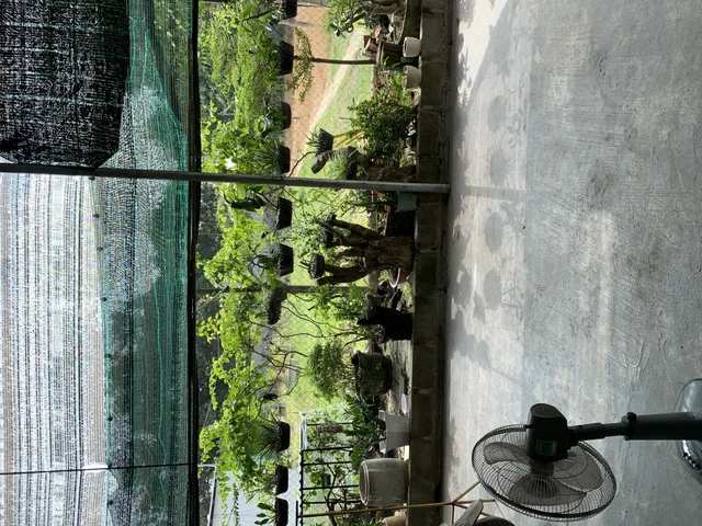 Bán đất 240m² ngang 8m giá 800 triệu tại Phường Cam Phúc Bắc Thành phố Cam Ranh