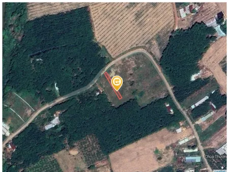 Bán đất 303.5m² Xã An Long