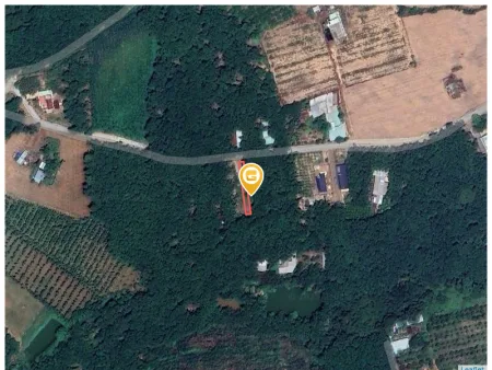 Bán đất 249.9m² Xã An Long