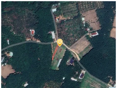 Bán đất 329.3m² Xã An Long