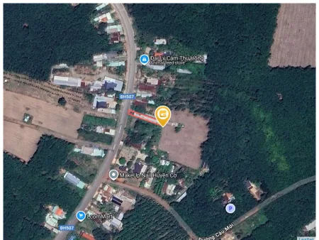 Bán đất 321.5m² Xã An Long