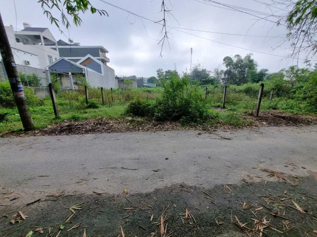 (L862) (Đã bán) Đất 1/ Nguyễn Kim Cương, xã Tân Thạnh Đông, dt 368m2 = 8m x 44m, thổ cư 354m2, đất ở hiện hữu, chốt 3 tỷ 650