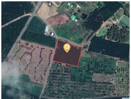 Bán đất 1000m² ngang 15m tại Xã Xuyên Mộc