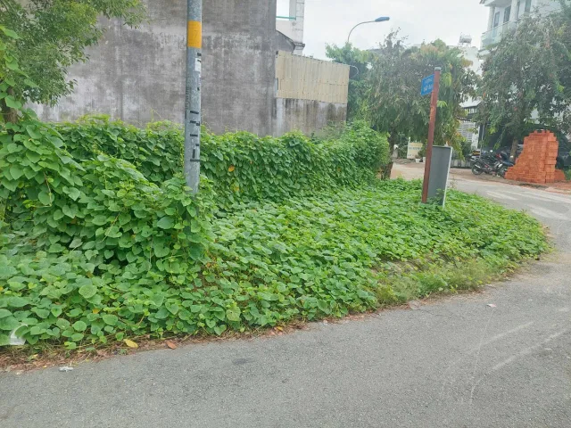 Bán đất 195m² ngang 9m giá 8.2 tỷ Xã Bình Chánh