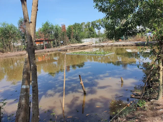 Bán đất 6500m² ngang 90m giá 29 tỷ Xã Phú Hòa Đông
