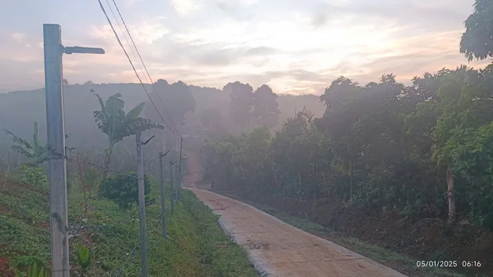 Bán nhà vườn nghỉ dưỡng 2000m² ngang 20m giá 2.5 tỷ Xã Bảo Lâm 2