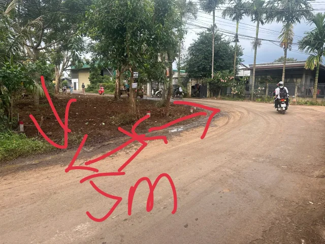 CẦN BÁN LÔ ĐẤT MẶT TIỀN MẬU THÂN - TÂN AN