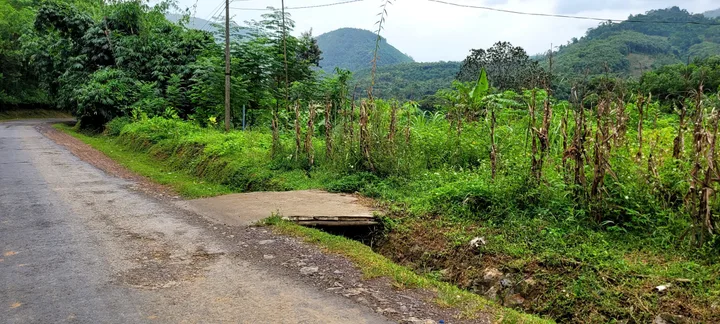 800m - 200 thổ cư - Cao Dương, Lương Sơn, HB - Chỉ 1.x tỷ (x - tiểu học)