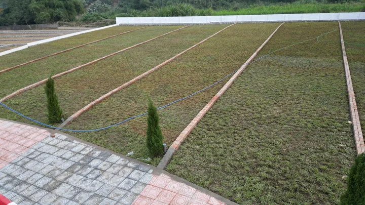 🌟 MỞ BÁN KHU ĐẤT 6 LÔ VỊ TRÍ ĐẮC ĐỊA - GIÁ RẺ NHẤT THỊ TRƯỜNG - SÁT KCN NHUẬN TRẠCH