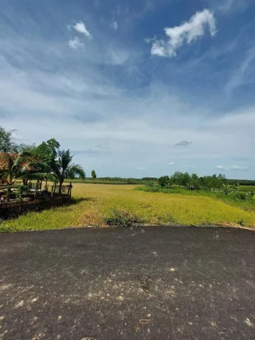 Đất view lúa nghỉ dưỡng Tân Rú, phước tân cũ . Hơn 20m mt . Đường nhựa 6m