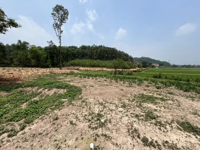 Bán đất 1200m² ngang 35m giá 8.38 tỷ tại Xã Tân Minh Huyện Sóc Sơn