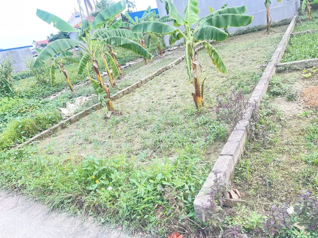 06/12/2025.Bán đất 60m² ngang 4m giá 1 tỷ . Hoàng Động. liên hệ 0362558882