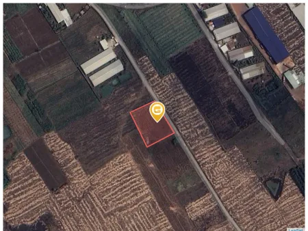 Bán đất 2545.7m² ngang 45m giá 3.5 tỷ Xã Dầu Giây