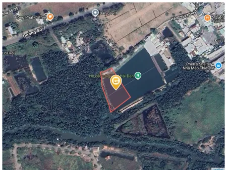 Bán đất 11.000m² ngang 100m giá 45 tỷ Xã Nhà Bè