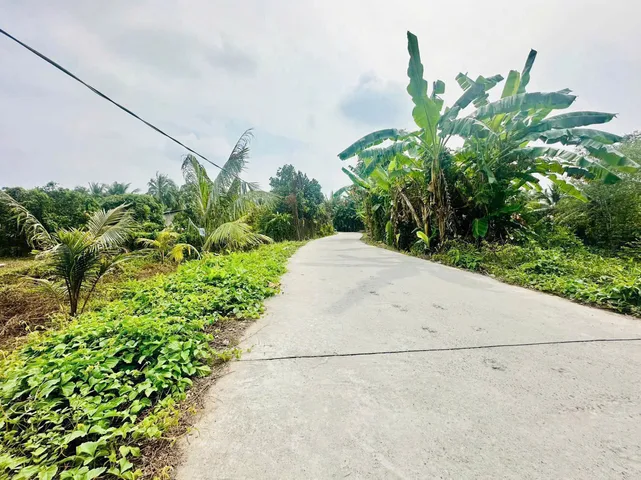 Bán đất 1900m² ngang 21m giá 3.04 tỷ Phường Tân Hạnh