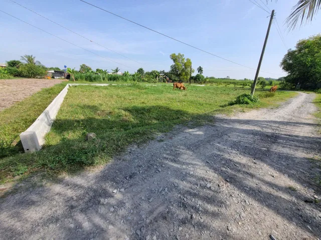 (L869) Đất 1/ ngắn Nguyễn Thị Rành, xã Trung Lập Hạ, dt 642m2, giá 2 tỷ 750 thương lượng