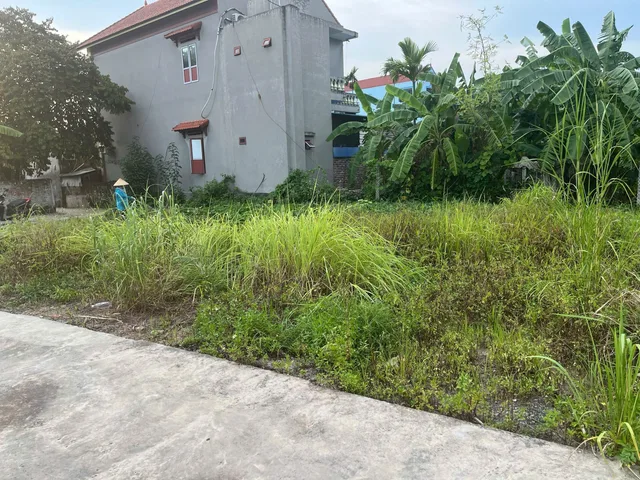 08/12/2025. bán lô đất 65,5m2 . mặt tiền 5,25m2. giá 560 triệu. Kênh Giang. liên hệ 0362558882